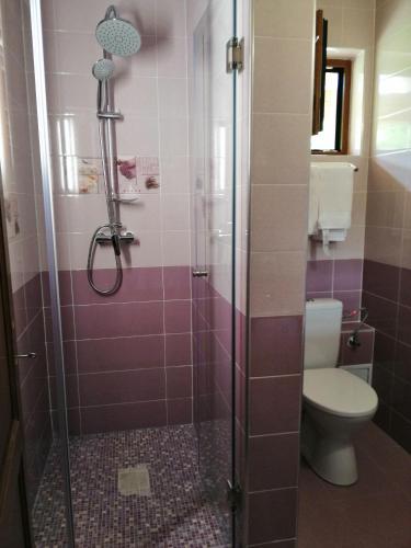 a bathroom with a shower with a toilet and a sink at PENSIUNEA PLAI STRABUN in Strîmtura