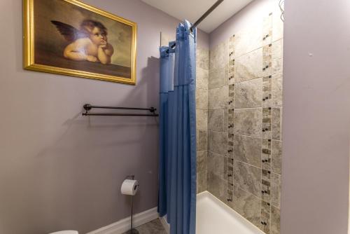 La salle de bains est pourvue d'une douche avec rideau de douche. dans l'établissement DowntoWn Abbey, à Saint-Louis