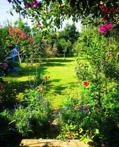 a garden with colorful flowers and plants at Masal Evimiz in Antalya