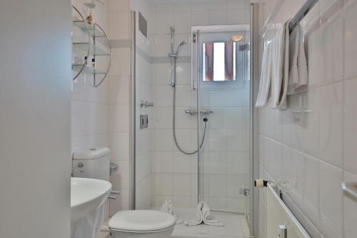y baño con ducha, aseo y lavamanos. en Parkresidenz Parkresidenz Appartement 11, en Scharbeutz