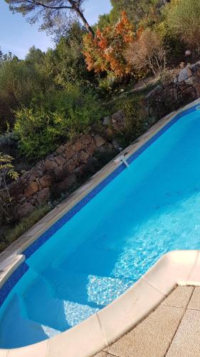 une piscine avec de l'eau bleue dans une cour dans l'établissement Lou Pitchoun Cabanon, à Callas