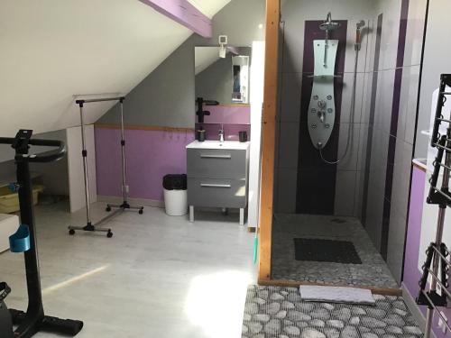 ein Bad mit einer Dusche und einem Waschbecken in der Unterkunft Maison calme et fonctionnelle in Mousseaux-sur-Seine