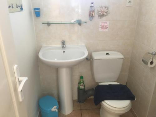 a small bathroom with a sink and a toilet at Gites de kermoel, Ouessant in Kernascléden