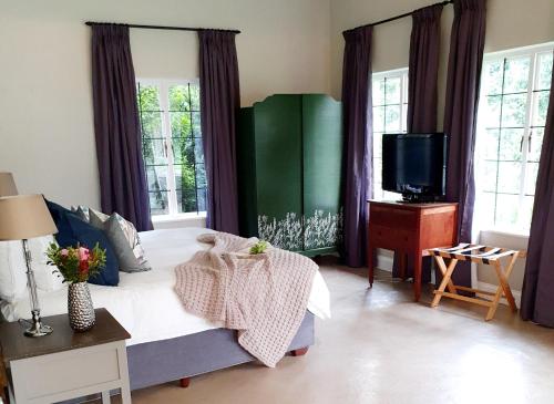 a living room with a bed and a tv at Hilton Garden Studio in Hilton