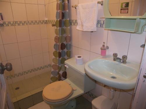 a bathroom with a toilet and a sink at Hostal Gosén in Puerto Baquerizo Moreno