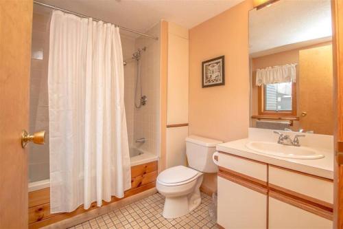 ein Bad mit einem WC, einem Waschbecken und einer Dusche in der Unterkunft Relaxing Riverside Retreat - StoryLand, Attitash, North Conway in Bartlett