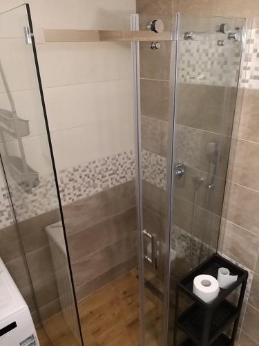 a shower with a glass door in a bathroom at AS apartman 2 in Vršac