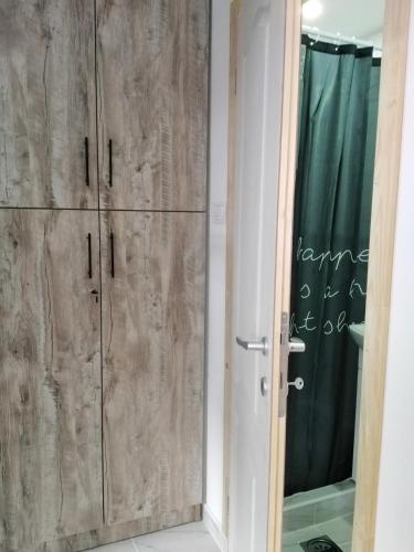 a room with wooden cabinets and a glass door at Studio Sanja Knez in Soko Banja