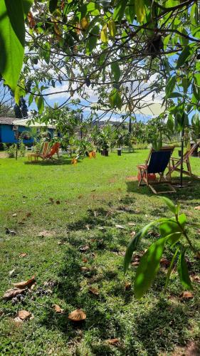 a park bench sitting in the grass under a tree at Hotel de Campo Villa de Ada in Gracias
