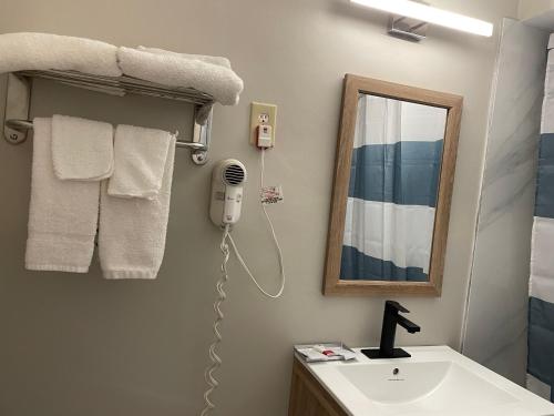 La salle de bains est pourvue d'un lavabo et d'un miroir. dans l'établissement Gas Lite Motel Lawrenceville, à Lawrenceville