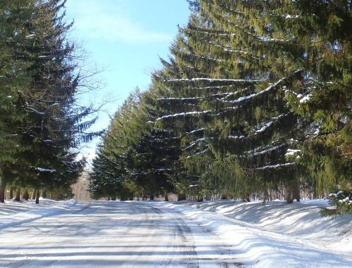 Eagle Village Resort #1 – Photos 3