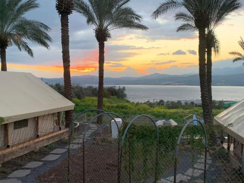 a view of the ocean from a house with palm trees at Sky Glamping boutique in Moshav Ramot