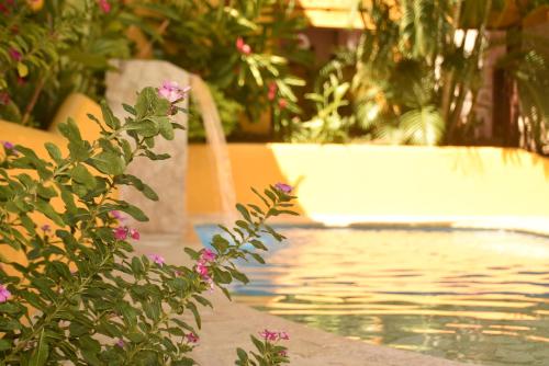 a swimming pool with a fountain and pink flowers at Encomendero Hotel -Centro Histórico- in Santa Fe de Antioquia