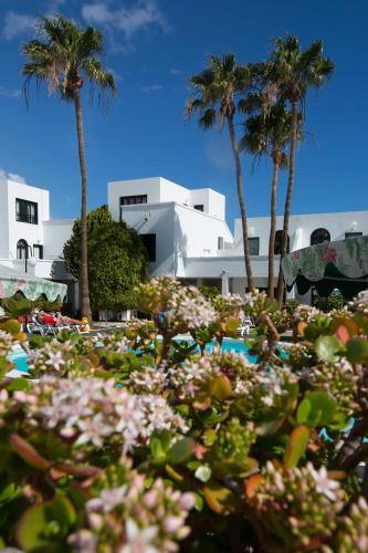 a field of flowers with palm trees in the background at Nazaret Sol in Costa Teguise