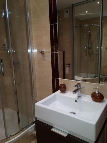 een badkamer met een wastafel en een douche bij Apartament Galeria Warmińska in Olsztyn