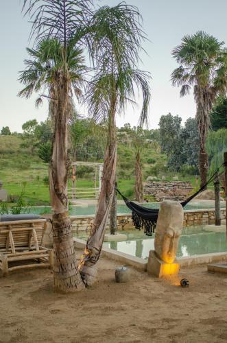 a hammock between two palm trees next to a pool of water at Ginger and Coco in Tandil