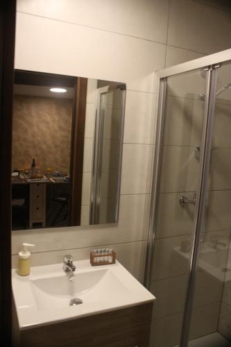 a bathroom with a sink and a shower with a mirror at Casita La Glorieta in Peñafiel