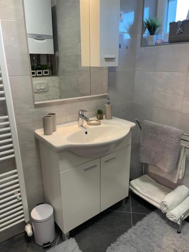 Ett badrum på Apartman IVA, Donji Miholjac