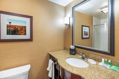 a bathroom with a sink and a mirror at Holiday Inn Ardmore, an IHG Hotel in Ardmore