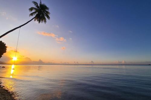 a palm tree and the ocean at sunset at Villa Tiarenui in Maharepa