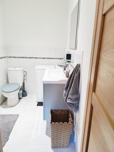 une salle de bain avec un lavabo et des toilettes dans l'établissement Garden Flat in Cannes, à Cannes