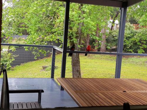 Μπαλκόνι ή βεράντα στο Green Leaf Retreat - PETS ALLOWED - FREE PARKING - FAMILY FRIENDLY - CLOSE TO KATOOMBA AND ALL MOUNTAIN ATTRACTIONS!