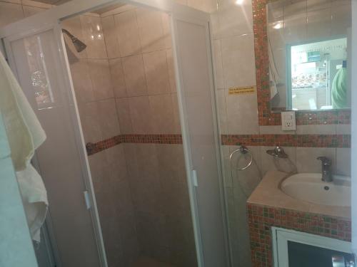 a bathroom with a shower and a sink at Depa 2 recamaras Coyoacán in Mexico City