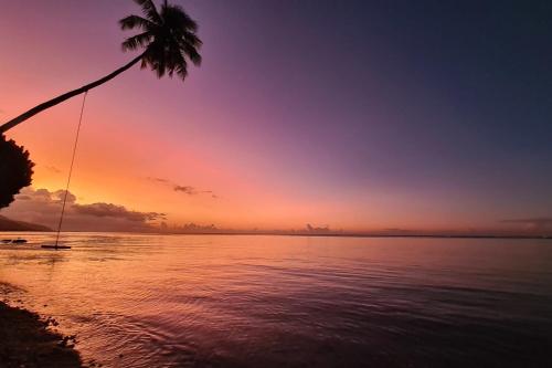 a palm tree on the beach with a sunset at Villa Tiarenui in Maharepa