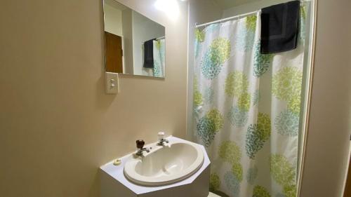 a bathroom with a sink and a shower curtain at National Park Backpackers in National Park