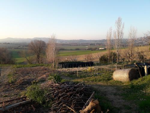 Stay at the Boschetto – Photos 3