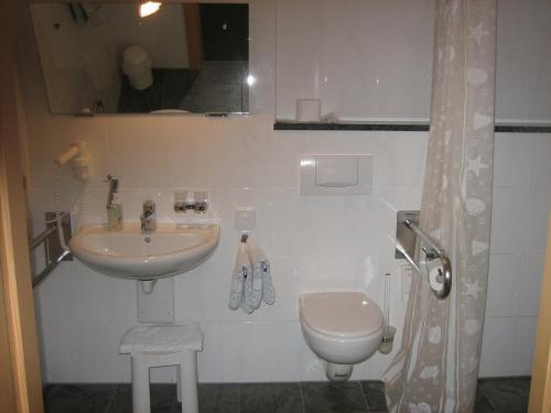 uma casa de banho com um lavatório e um WC em Sonnenkaiser em Fischbachau