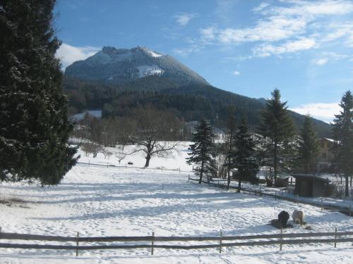 a snow covered field with a mountain in the background at Sonnenkaiser in Fischbachau