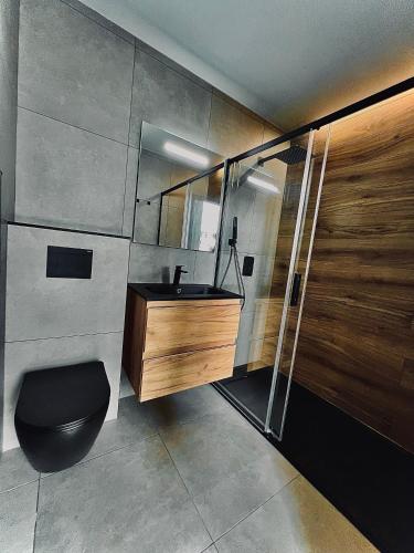 ein Bad mit einem schwarzen WC und einem Waschbecken in der Unterkunft Elégant et moderne in Foix
