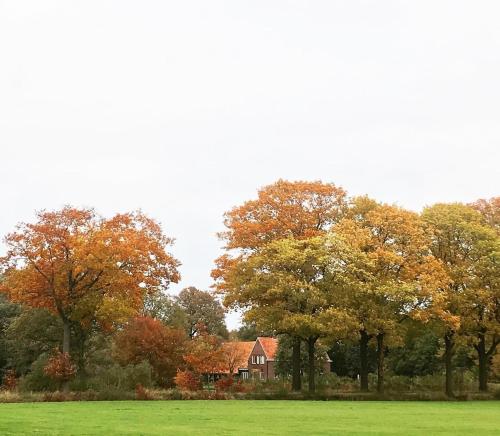 a house in the middle of a field with trees at Hoeve de Snippert in Groenlo