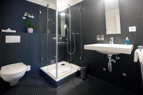 a bathroom with a shower and a toilet and a sink at Hotel-Restaurant Löwen in Dielsdorf