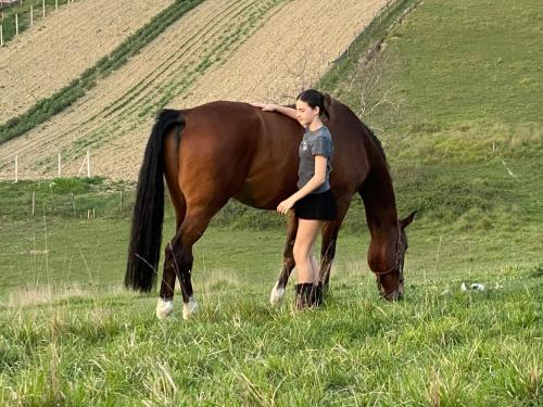 a woman standing next to a brown horse in a field at Tenuta Lisetta in Monterotondo