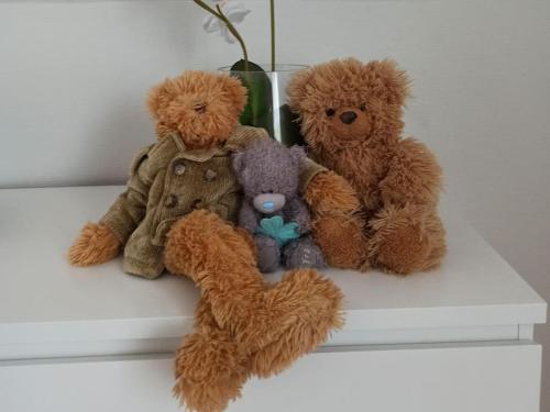 three stuffed teddy bears sitting on a shelf at Cosy Loft in Helsinki