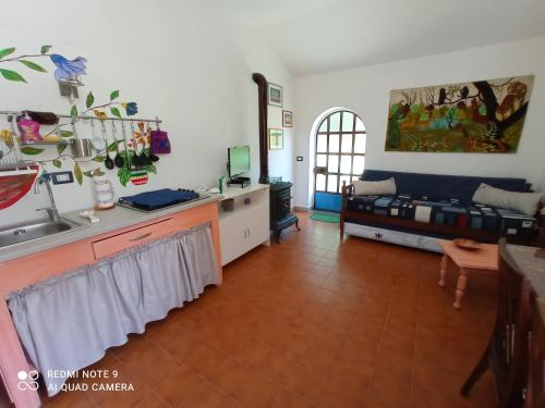 a kitchen and living room with a sink and a couch at La Casa dei Daini in Ronciglione