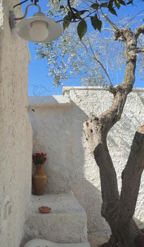 a tree sitting next to a white building with a staircase at Casedda Ostunese in Ostuni