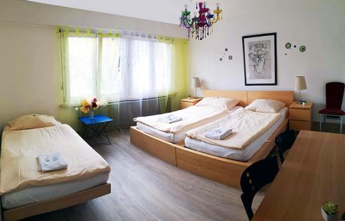 Postel nebo postele na pokoji v ubytování Zak Neuhausen
