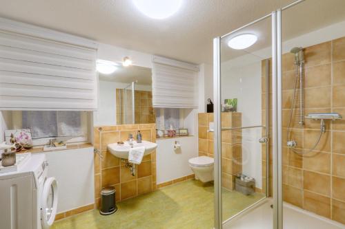 a bathroom with a shower and a toilet and a sink at Harz-Urlaubs-Alm Hotel & Ferienhäuser in Clausthal-Zellerfeld