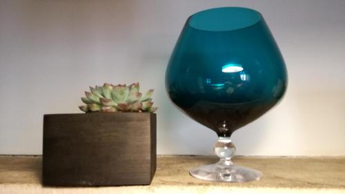 a blue glass sitting next to a cactus at L'antre ami in Savigny-lès-Beaune
