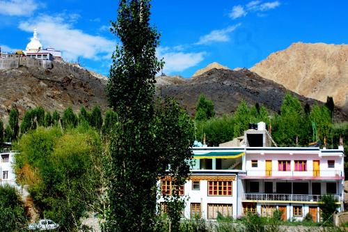 a building with a tree in front of a mountain at Zeejeed palace in Leh