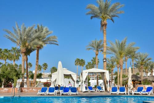 Seti Sharm Palm Beach Resort Families and couples only tesisinde veya buraya yakın yüzme havuzu