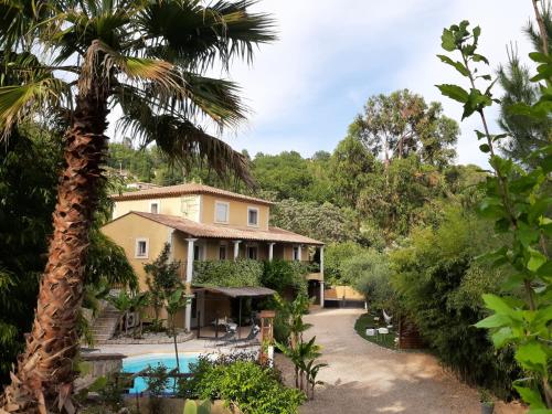 a house with a palm tree and a swimming pool at La Villa Jasmin in Montauroux