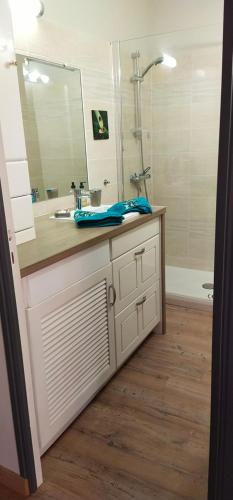 a bathroom with a sink and a mirror at vacances à la plage in Saint-Cyr-sur-Mer