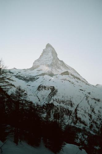 a mountain covered in snow with trees in front of it at BEAUSiTE Zermatt in Zermatt