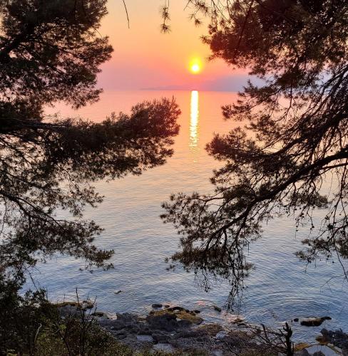 a sunset over the water between two trees at Zia Yaya in Maratea