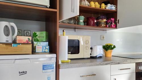 a kitchen with a counter top with a microwave at Apartments Vinska Trta in Čatež ob Savi