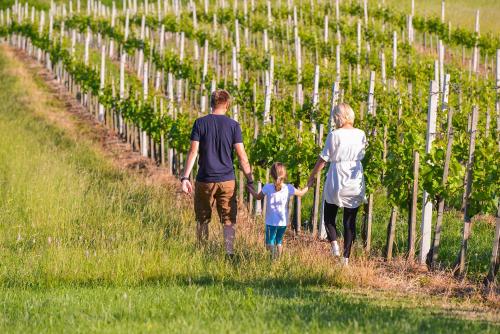 two adults and a child walking through a vineyard at Apartments Vinska Trta in Čatež ob Savi